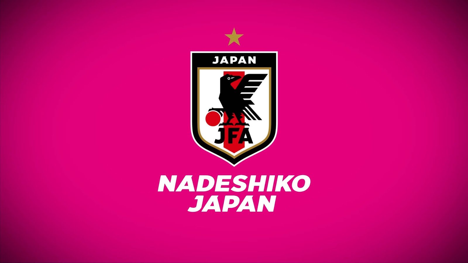 logo rosa Jap&atilde;o