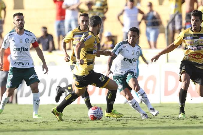 Palmeiras x Novorizontino – vencer é o caminho para semifinal