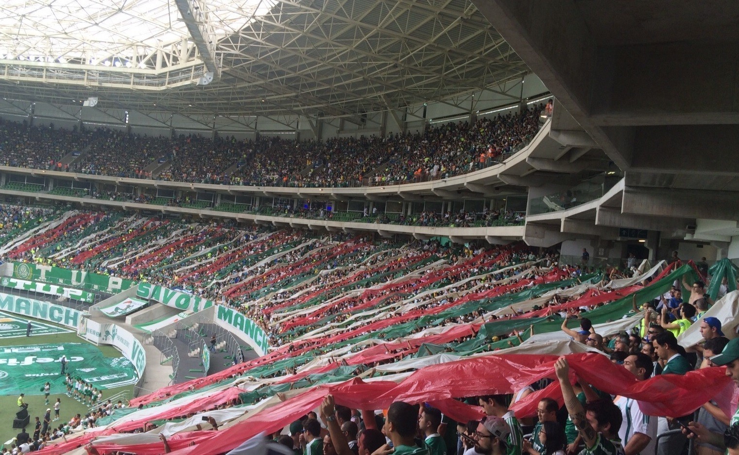 Torcida Palmeiras