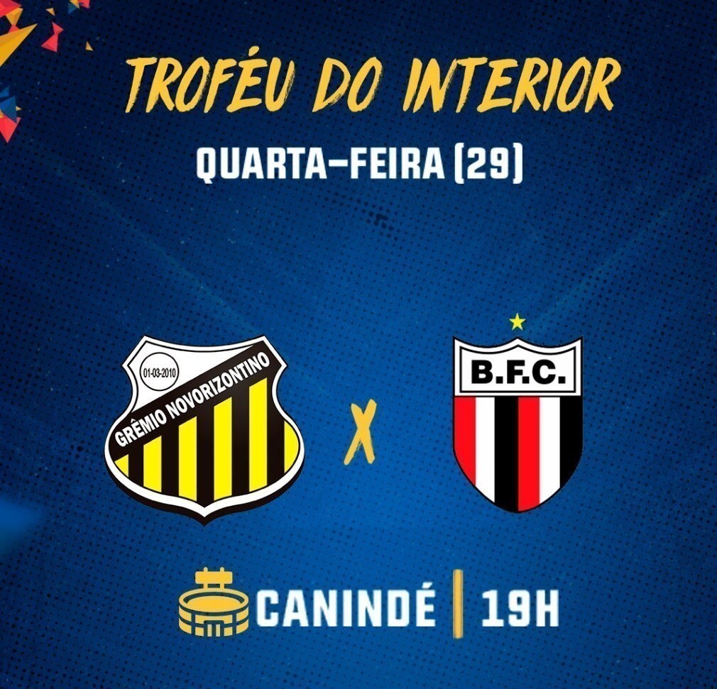 Novorizontino x Botafogo &ndash; Progn&oacute;stico das quartas de final do Trof&eacute;u do Interior 2020