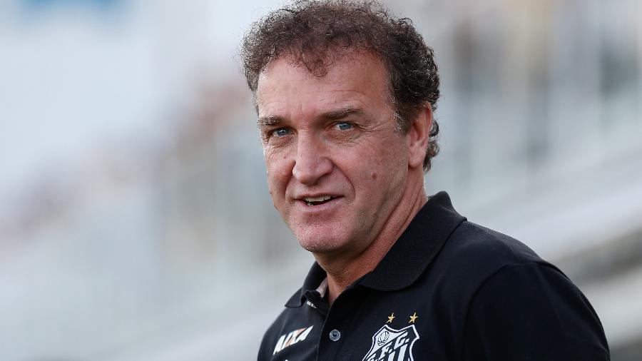 Cucabol: &eacute; o melhor t&eacute;cnico no Brasil?