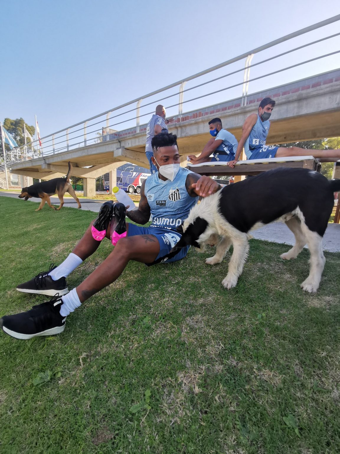 Santos deve ter dupla inédita contra o San Lorenzo; Confira a provável escalação