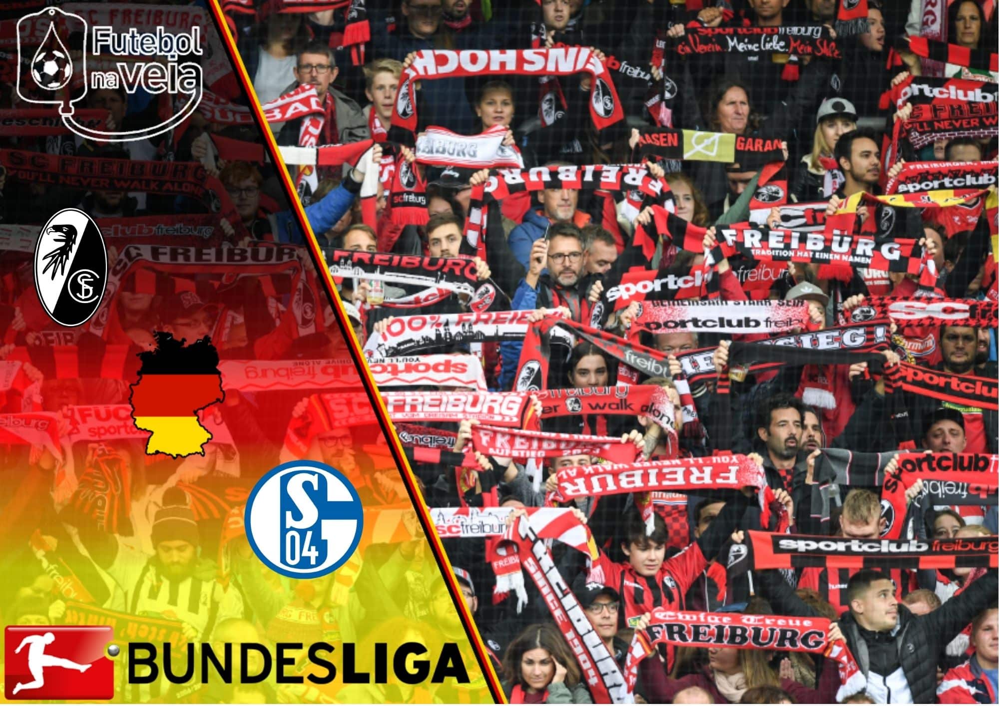 Freiburg x Schalke