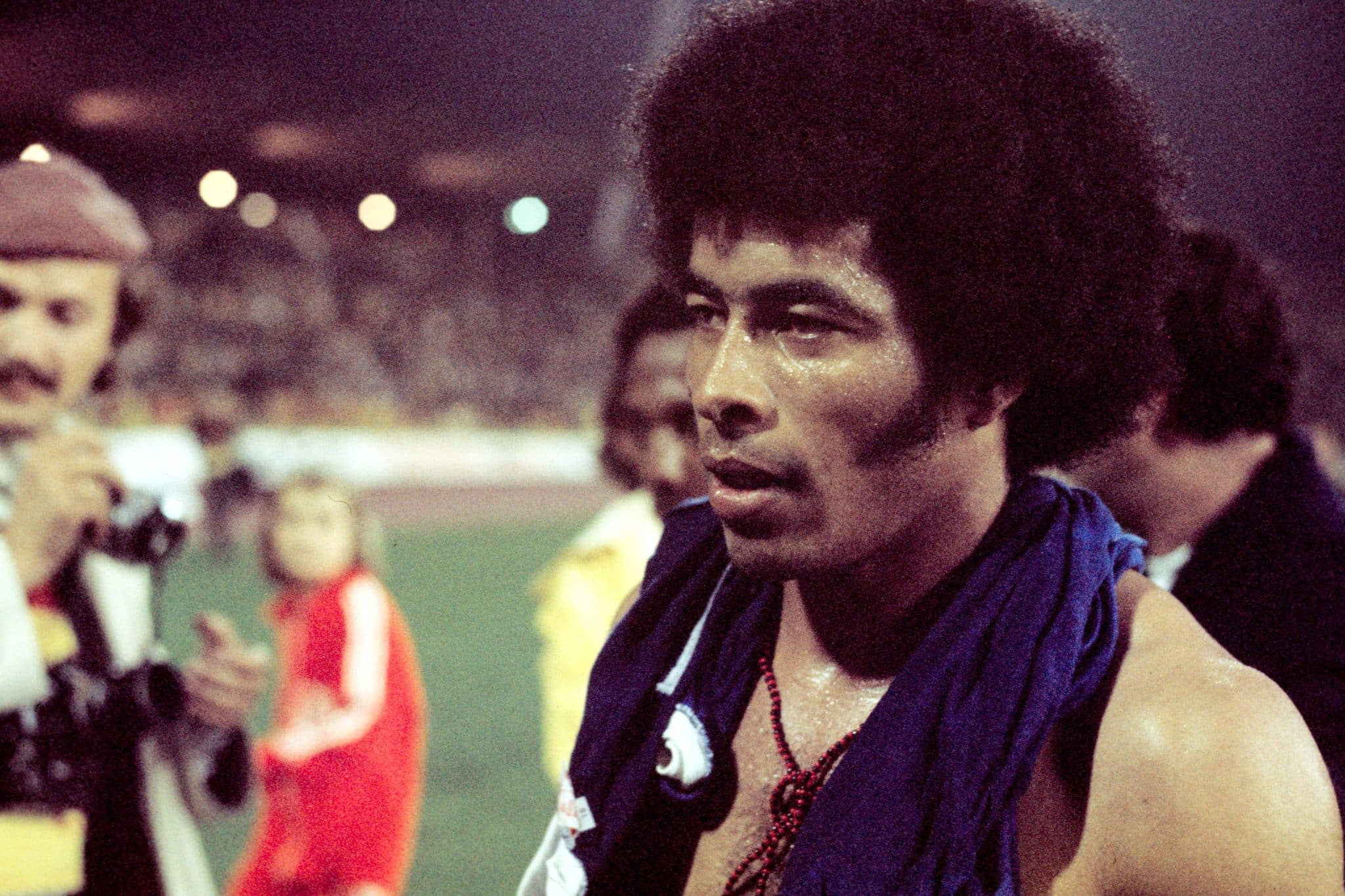 Top 5 &Iacute;dolos do futebol: Botafogo-RJ