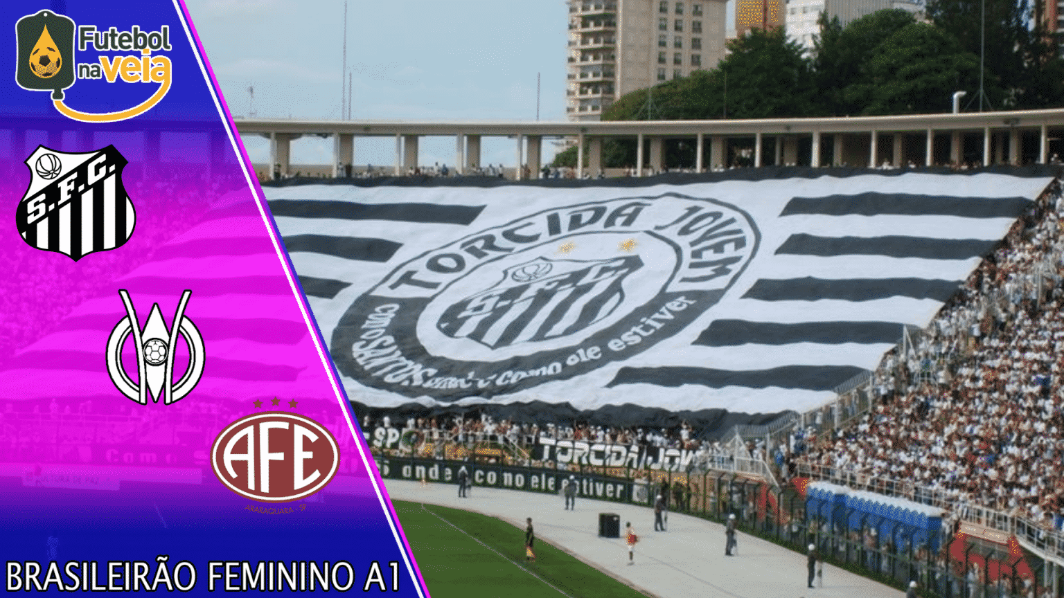 Santos x Ferrovi&aacute;ria &ndash; Progn&oacute;stico & Palpite &ndash; 23/08