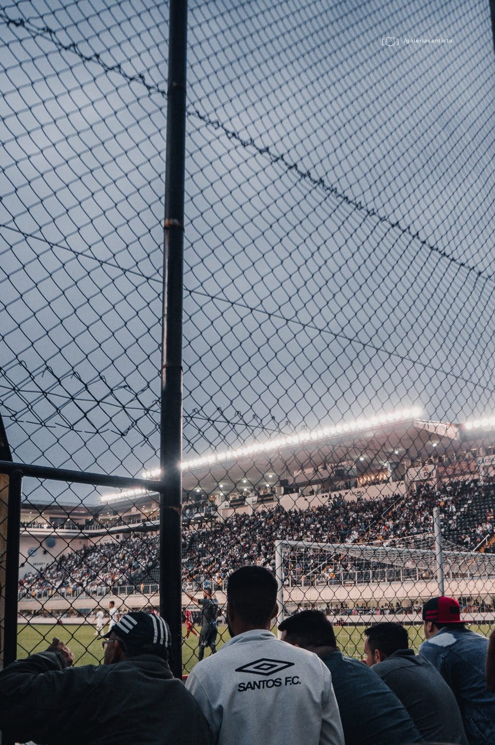 Santos e Fluminense tem nova data com 50% do p&uacute;blico