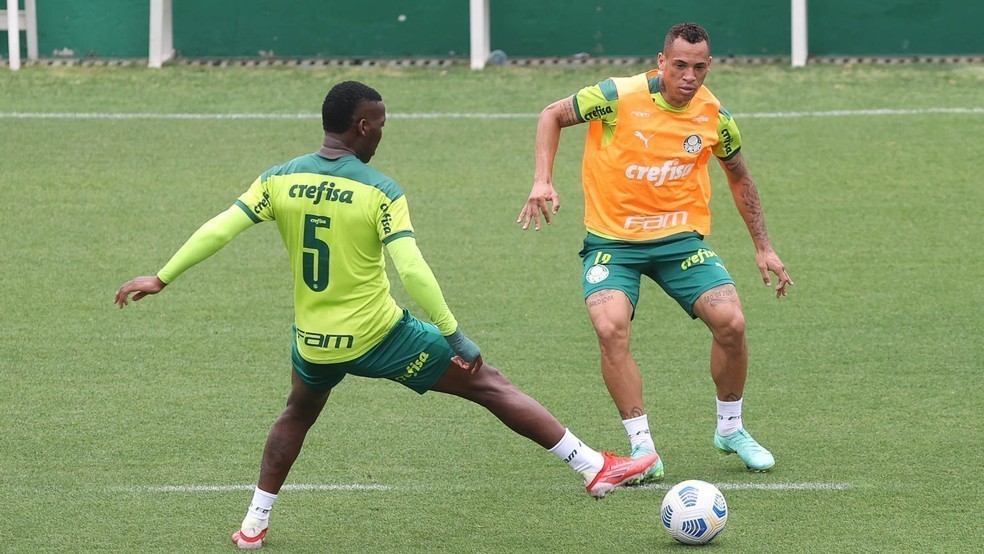 Palmeiras se prepara para jogo do Campeonato Brasileiro