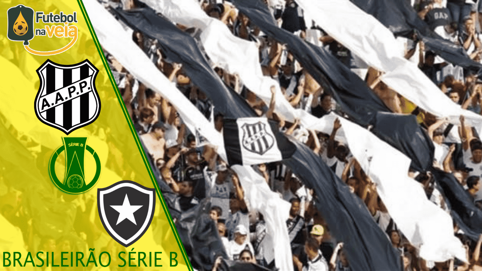 Ponte Preta x Botafogo- Progn&oacute;stico & Palpite- 11/11