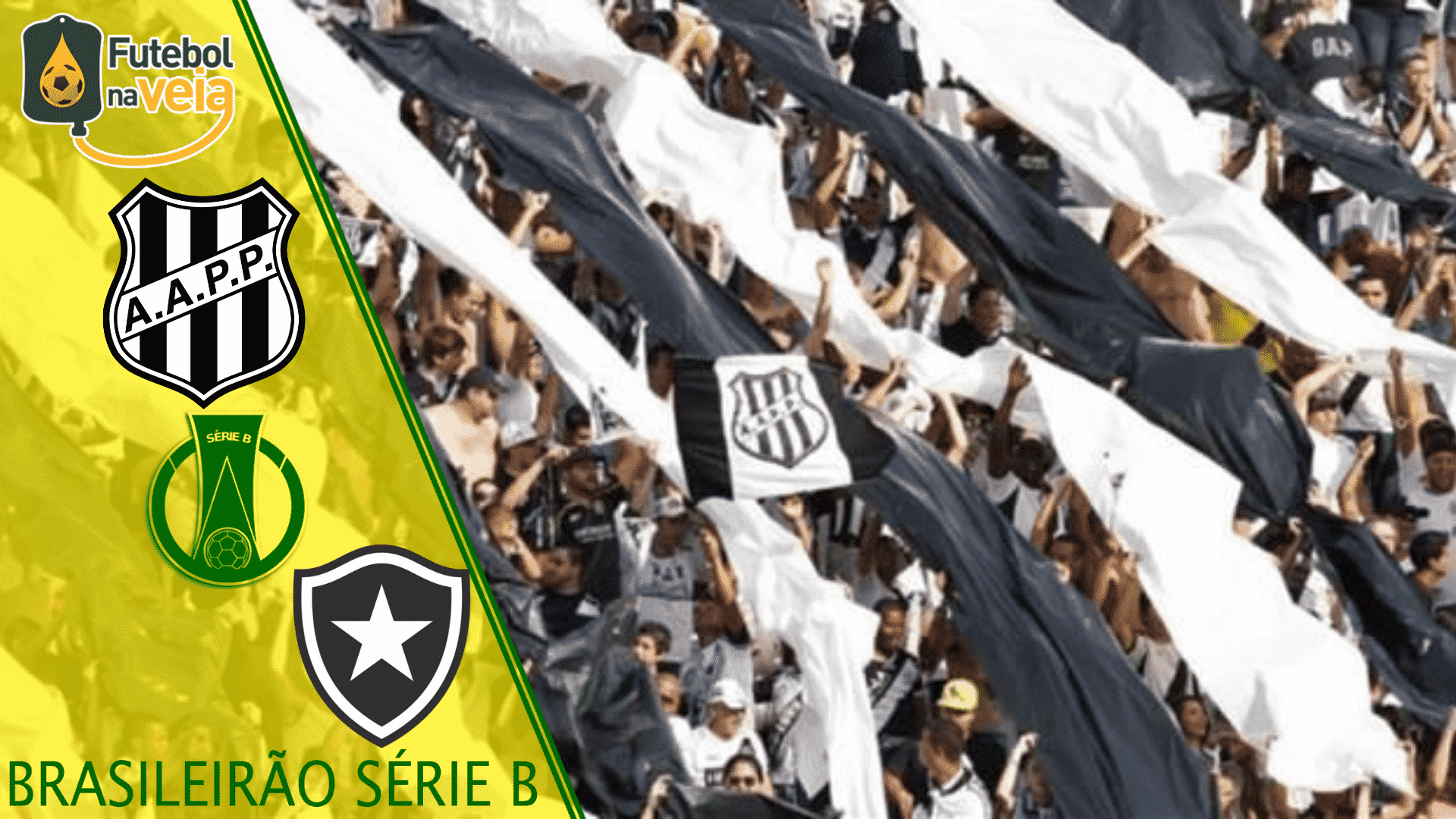 Ponte Preta x Botafogo- Progn&oacute;stico & Palpite- 11/11