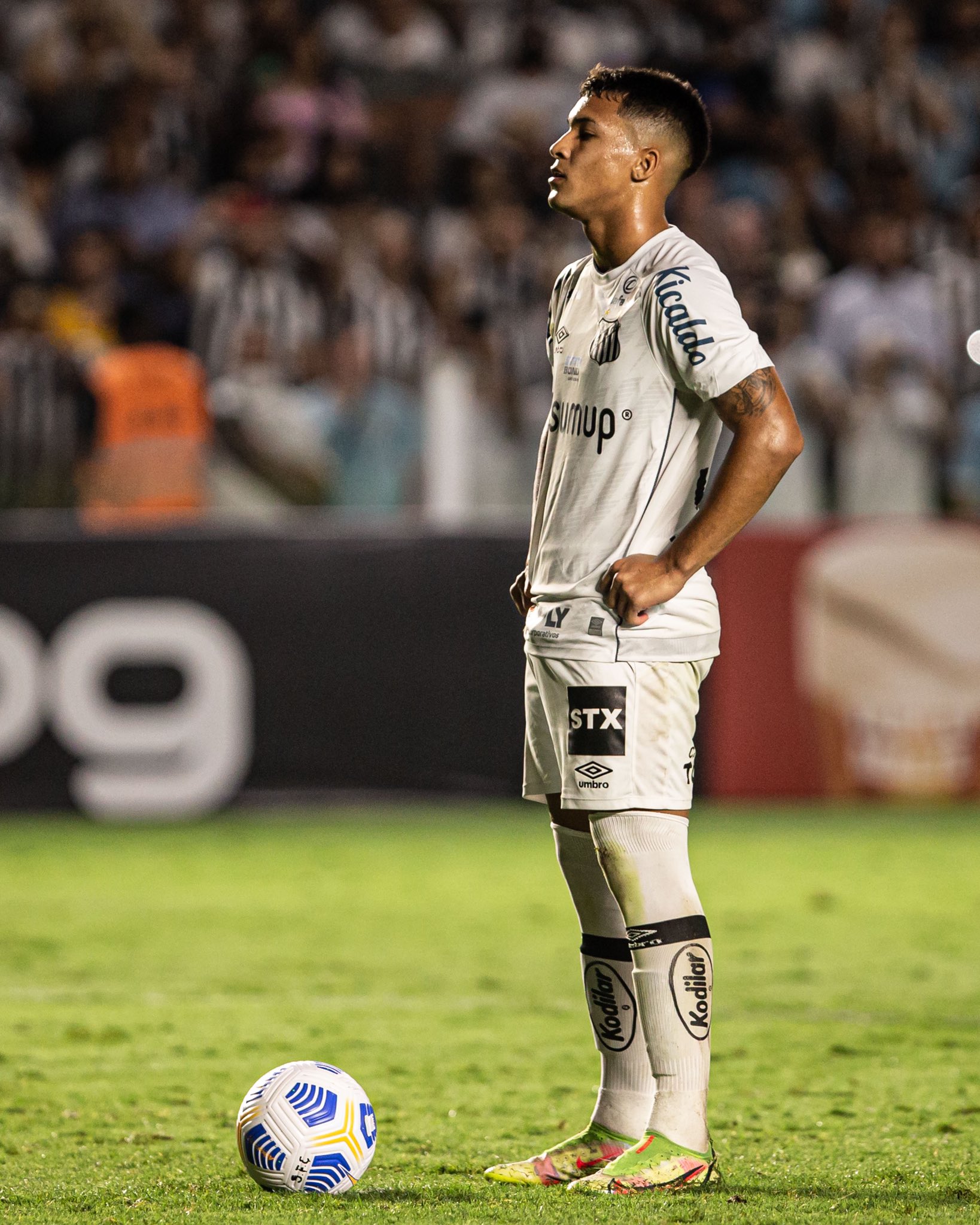 Marcos Leonardo projeta reta final do Brasileirão: “Cada jogo vai ser uma final”