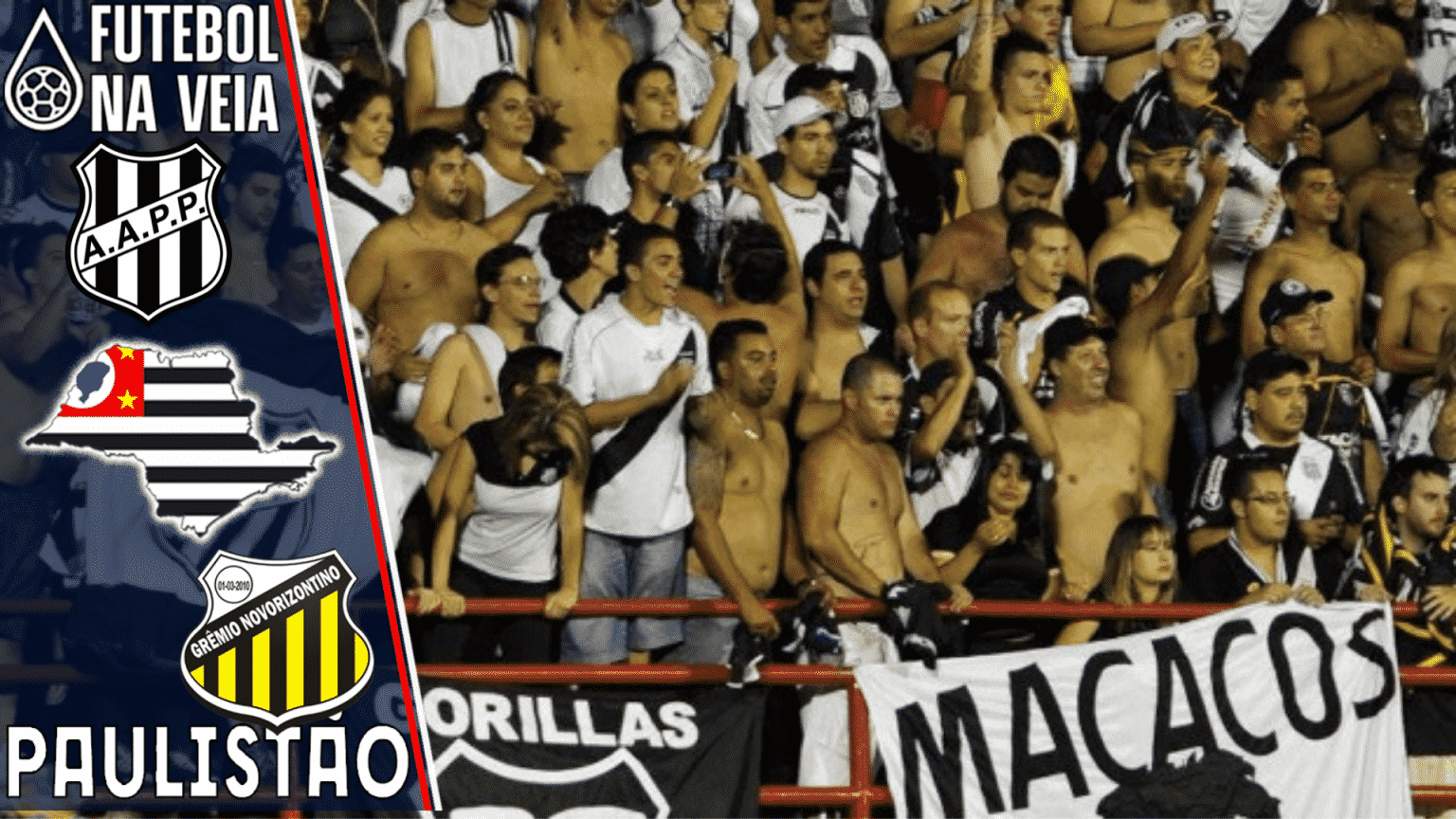 Ponte Preta x Novorizontino &ndash; Progn&oacute;stico e Palpite &ndash; 02/02- Paulista 2022