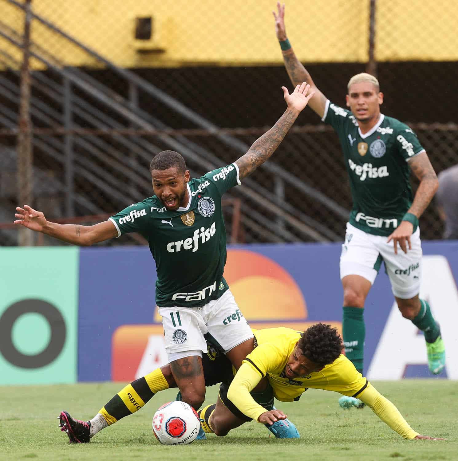 S&atilde;o Bernardo x Palmeiras como aconteceu &ndash; Destaques, resultados e rea&ccedil;&atilde;o