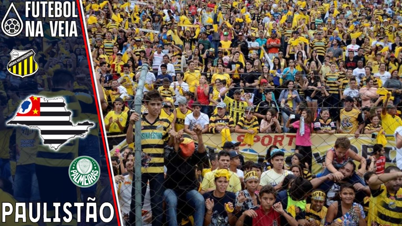 Novorizontino x Palmeiras – Prognóstico e Palpite – 23/01