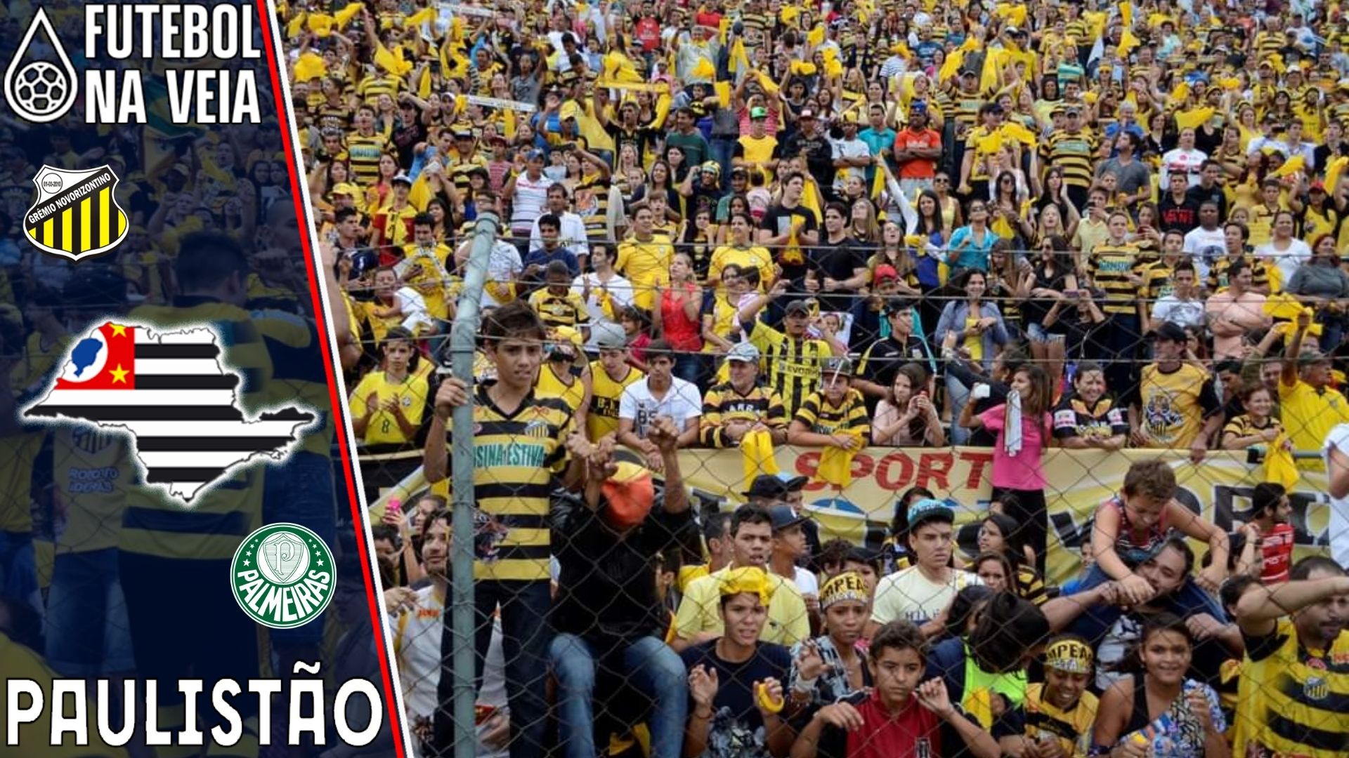 Novorizontino x Palmeiras – Prognóstico e Palpite – 23/01