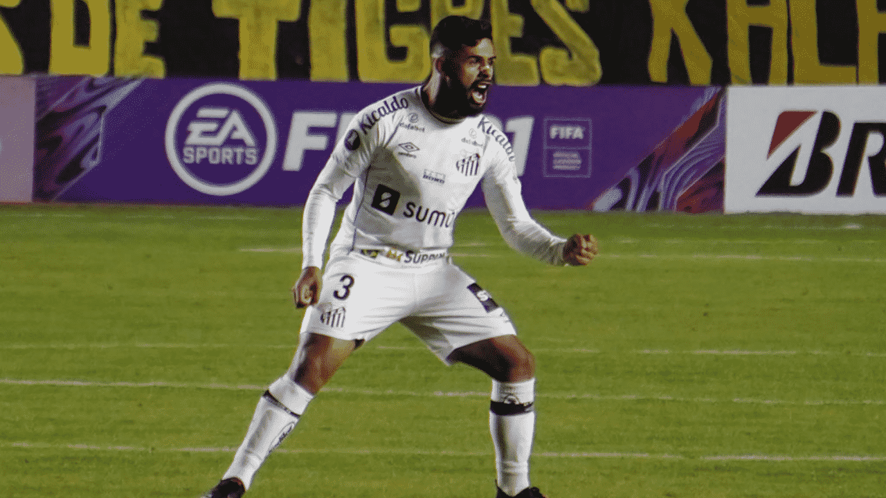 Felipe Jonatan segue no Santos ap&oacute;s fim de negocia&ccedil;&otilde;es com Fenerbah&ccedil;e