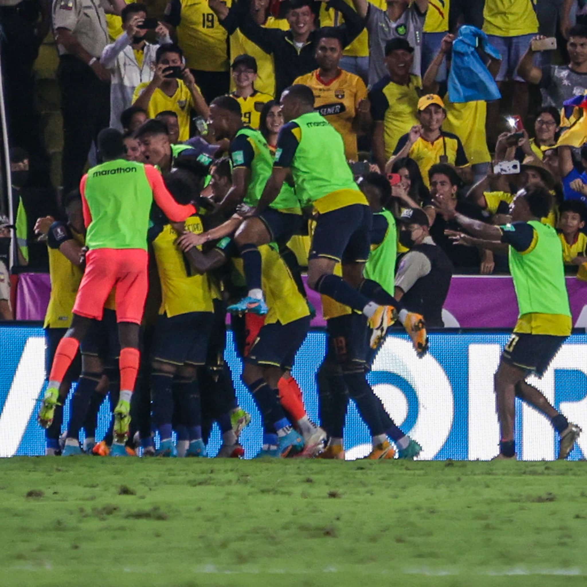 Equador x Argentina como aconteceu – Resultado, destaques e reação