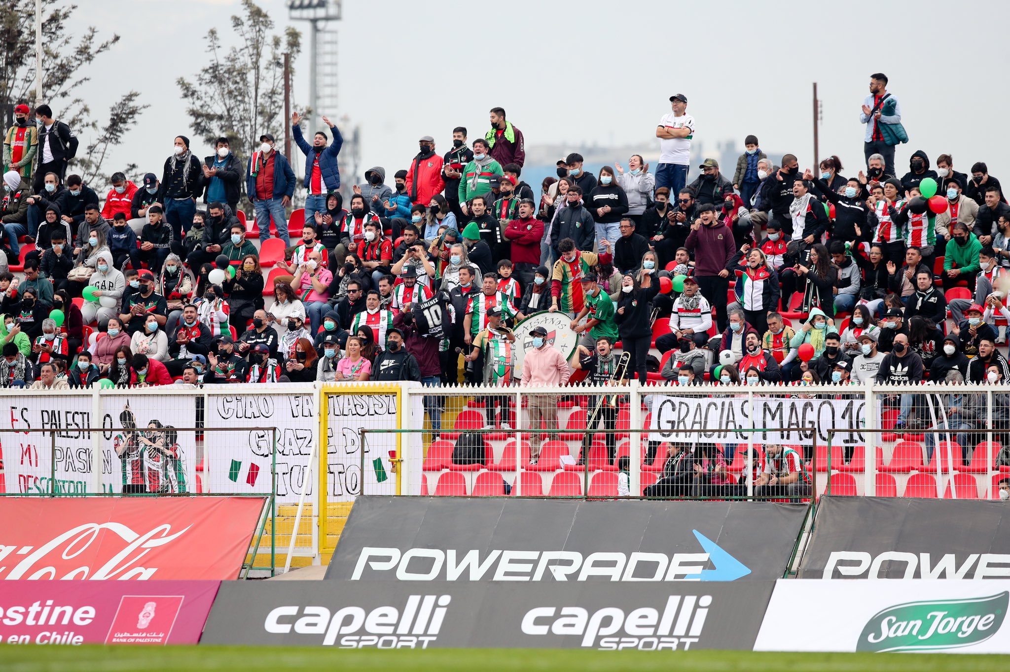 Palestino x Cobresal como aconteceu &ndash; Resultado, destaques e rea&ccedil;&atilde;o