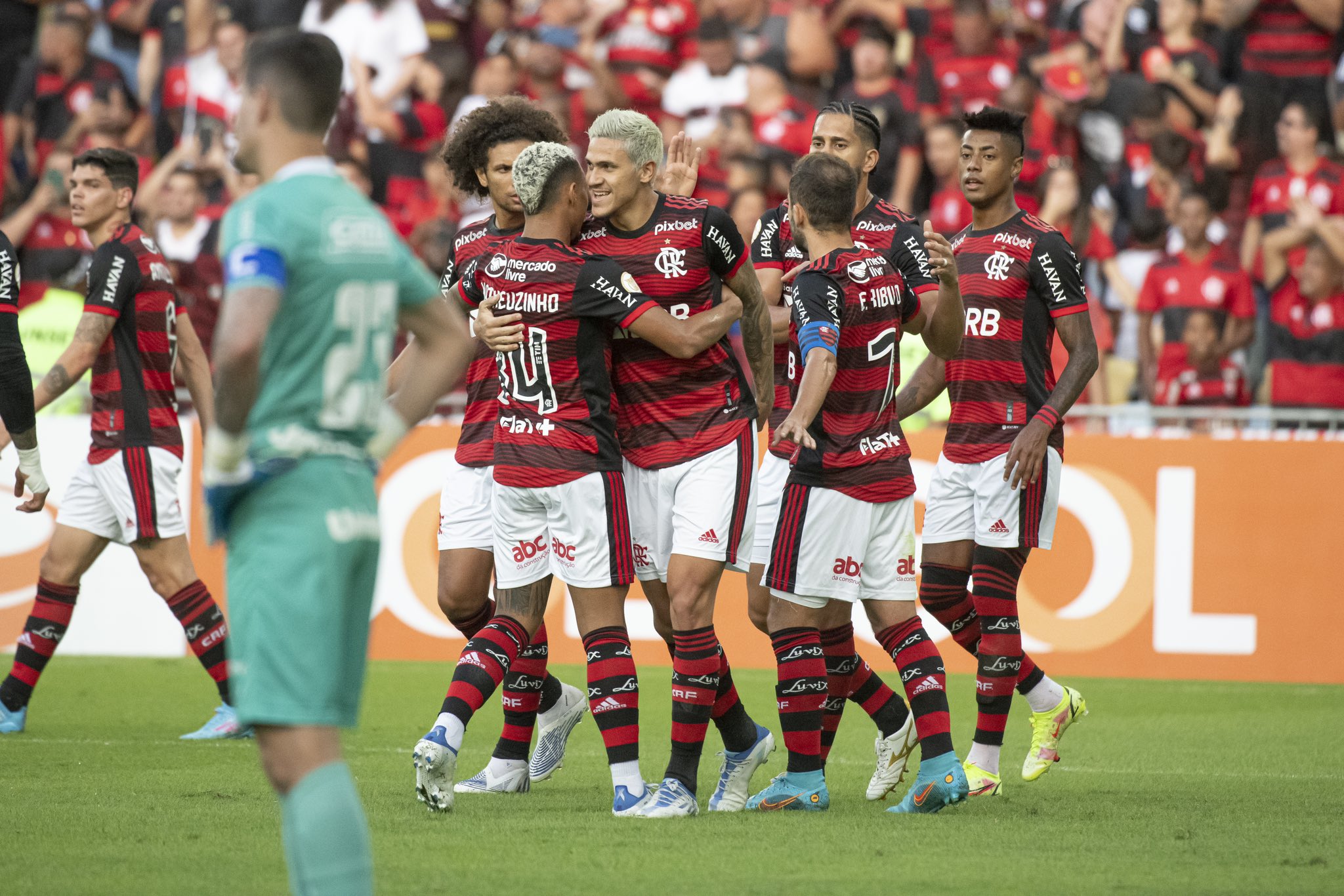 Flamengo x Goiás como aconteceu – Resultado, destaques e reação