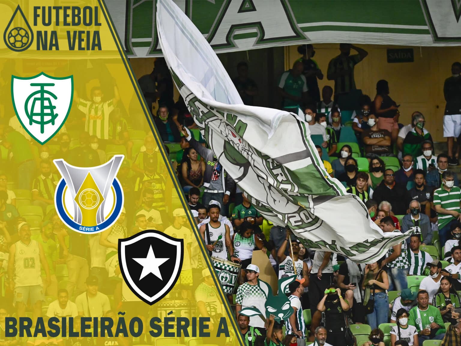 Palpites Am&eacute;rica-MG x Botafogo &ndash; 21/05 &ndash; Brasileir&atilde;o S&eacute;rie A