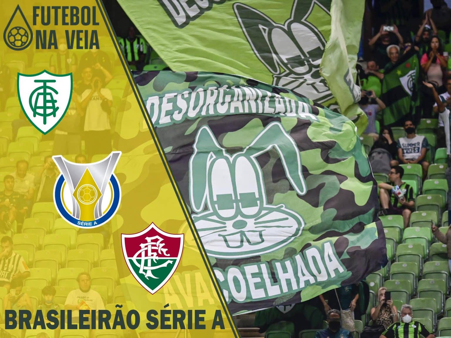 Palpites Am&eacute;rica-MG x Fluminense &ndash; 15/06 &ndash; Brasileir&atilde;o S&eacute;rie A