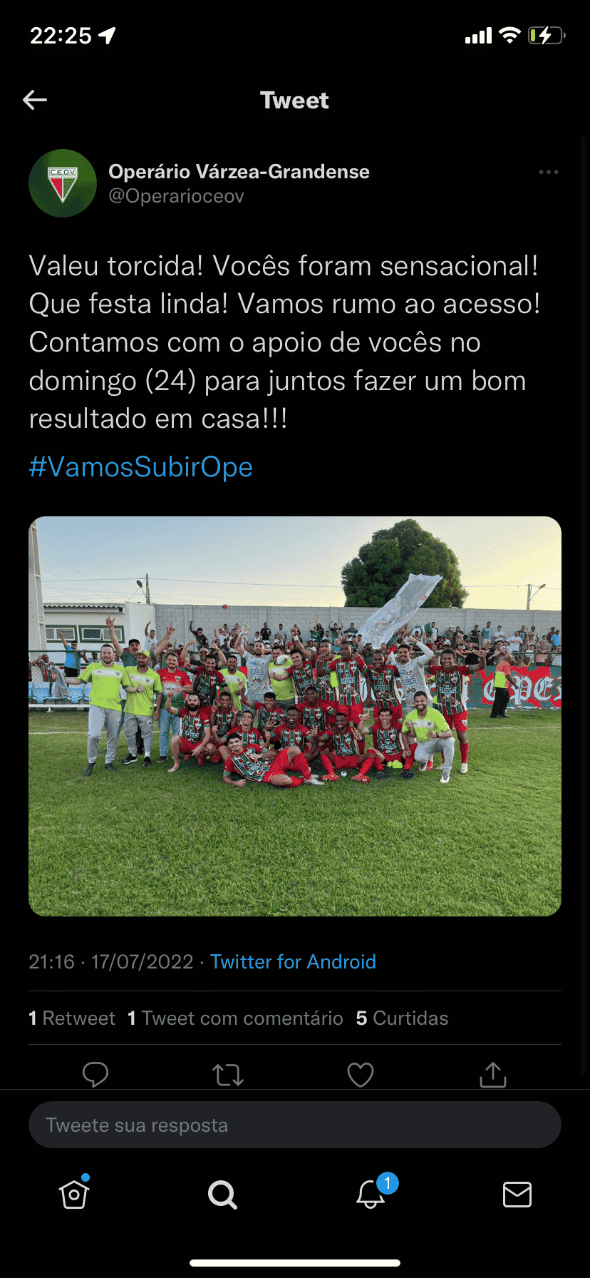 Oper&aacute;rio-VG x Ipor&aacute;