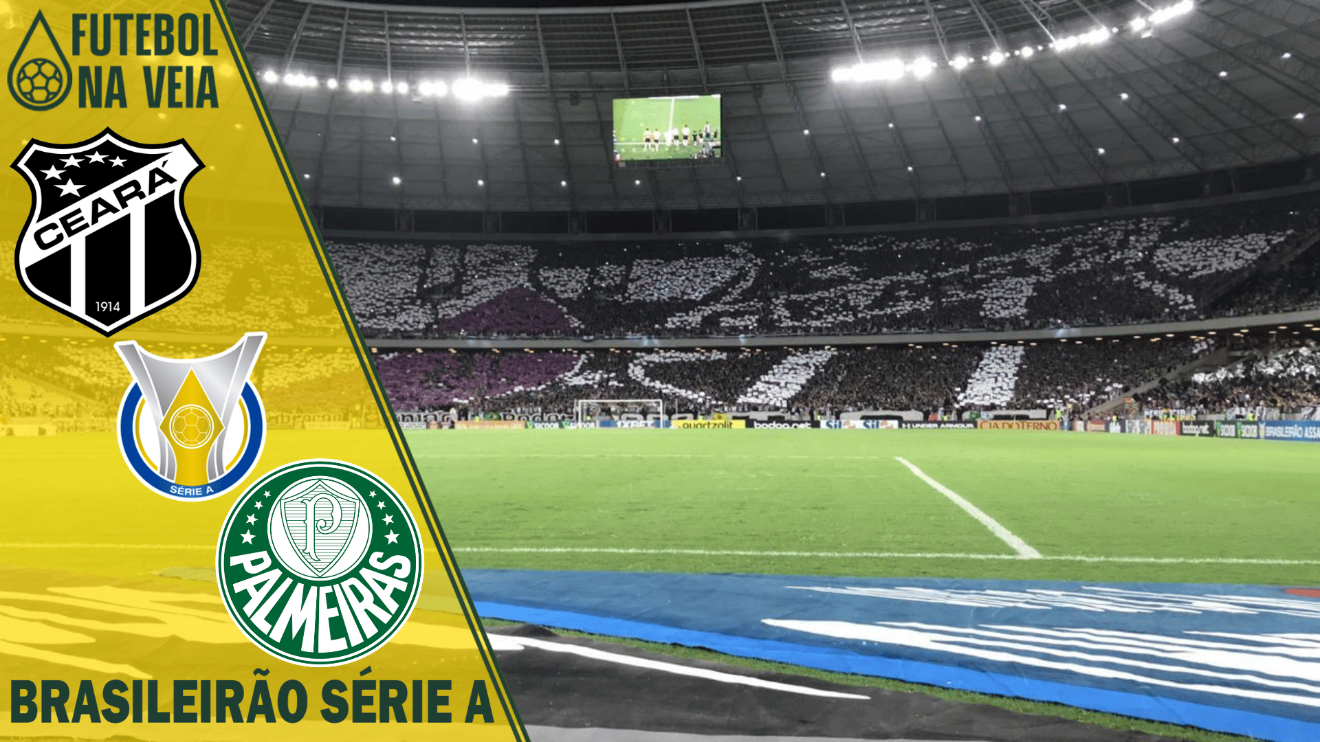 Palpites Ceará x Palmeiras – 30/07 – Brasileirão 2022