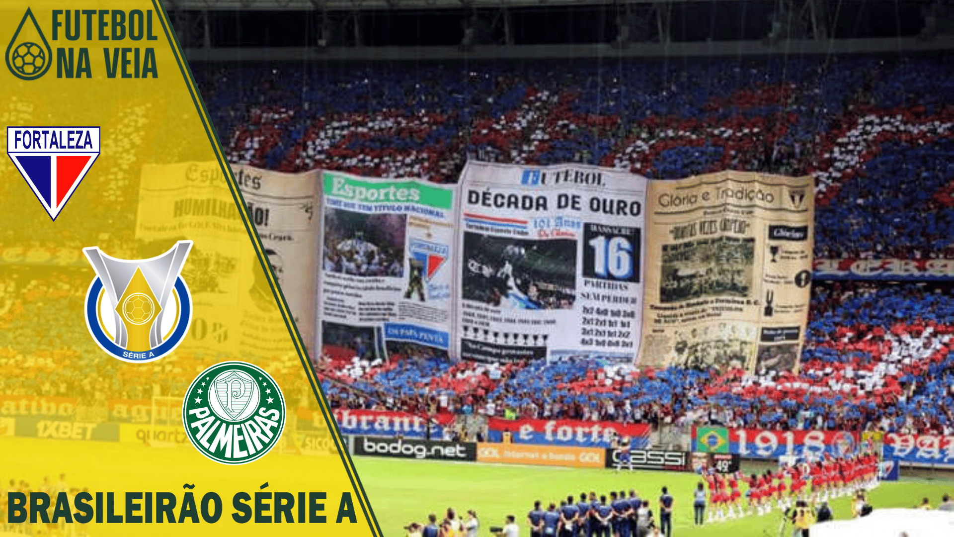 Palpites Fortaleza x Palmeiras – 10/07 – Brasileirão Série A 2022
