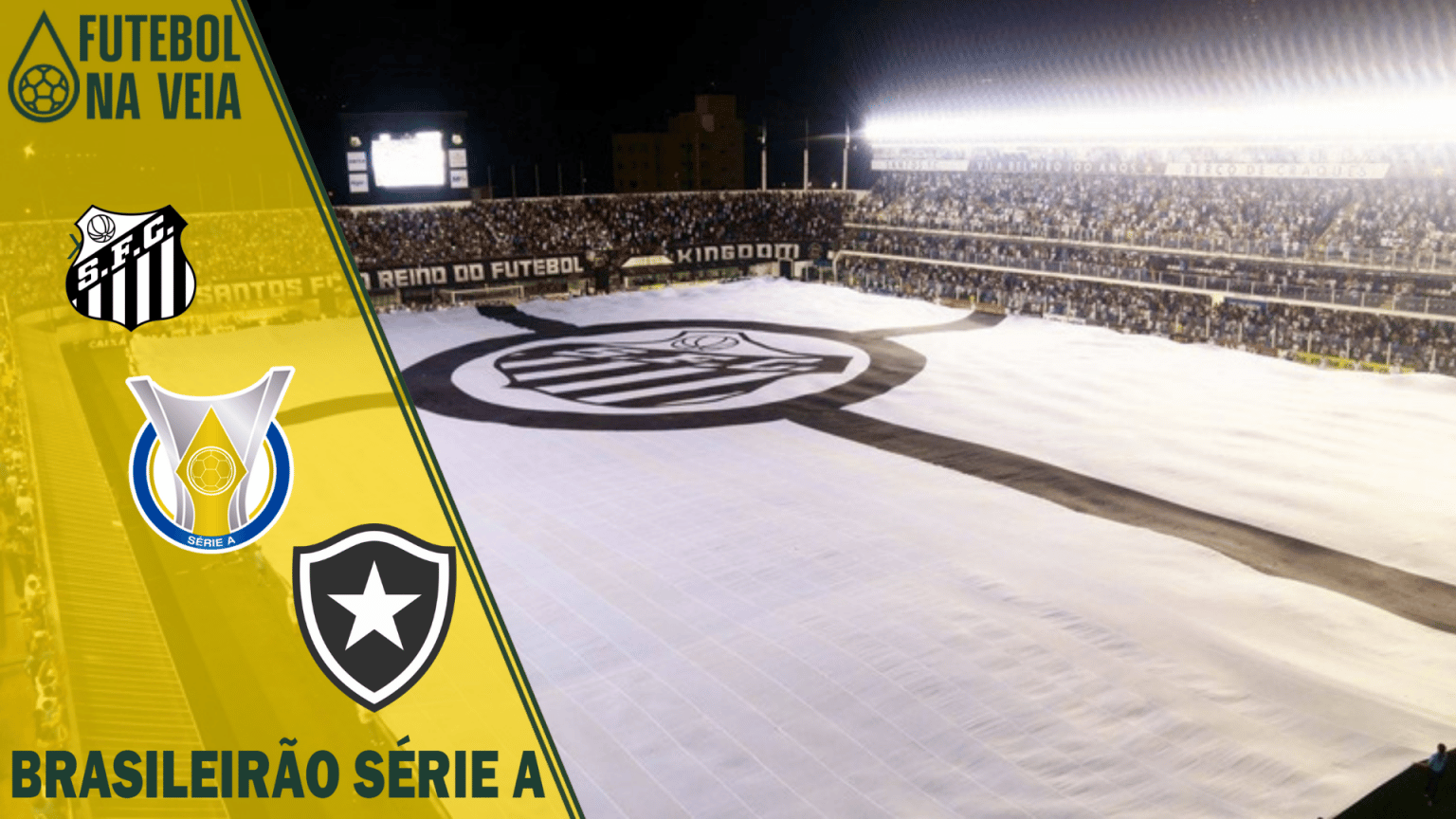 Palpites Santos x Botafogo &ndash; 20/07 &ndash; Brasileir&atilde;o S&eacute;rie A