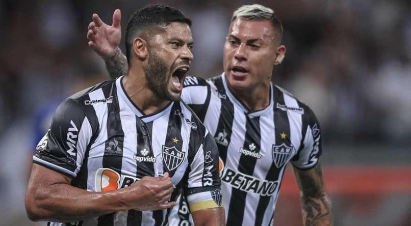 Galo preparado para receber Emelec