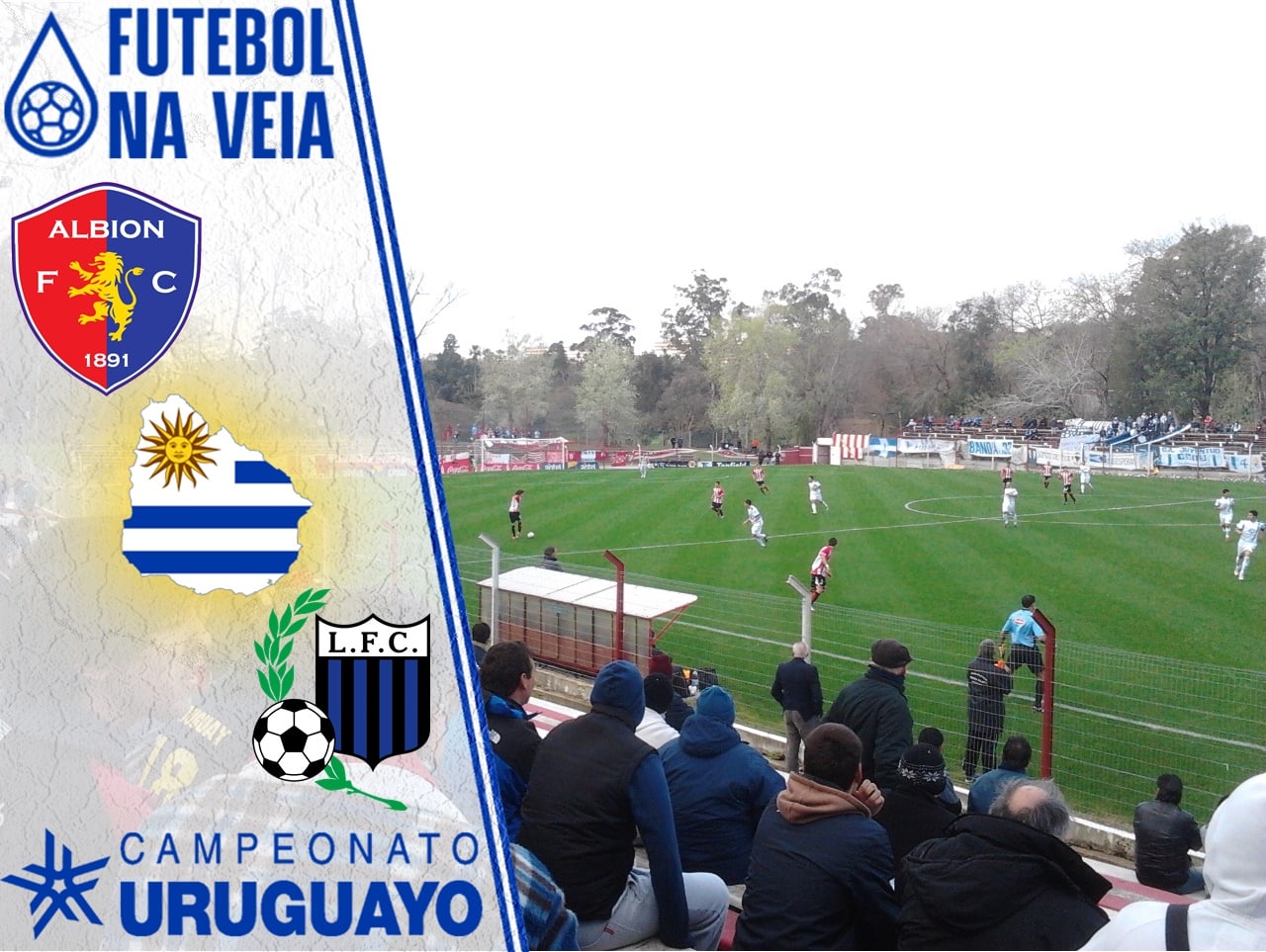 Palpites Albion x Liverpool &ndash; 8/8 &ndash; Uruguaio 2022