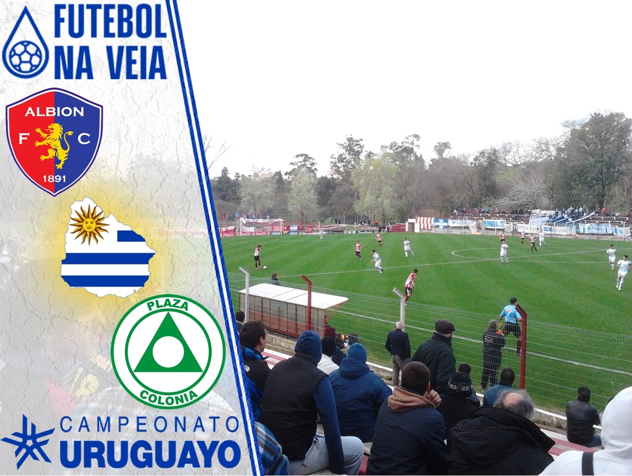 Palpites Albion x Plaza Col&oacute;nia &ndash; 22/8 &ndash; Uruguaio 2022