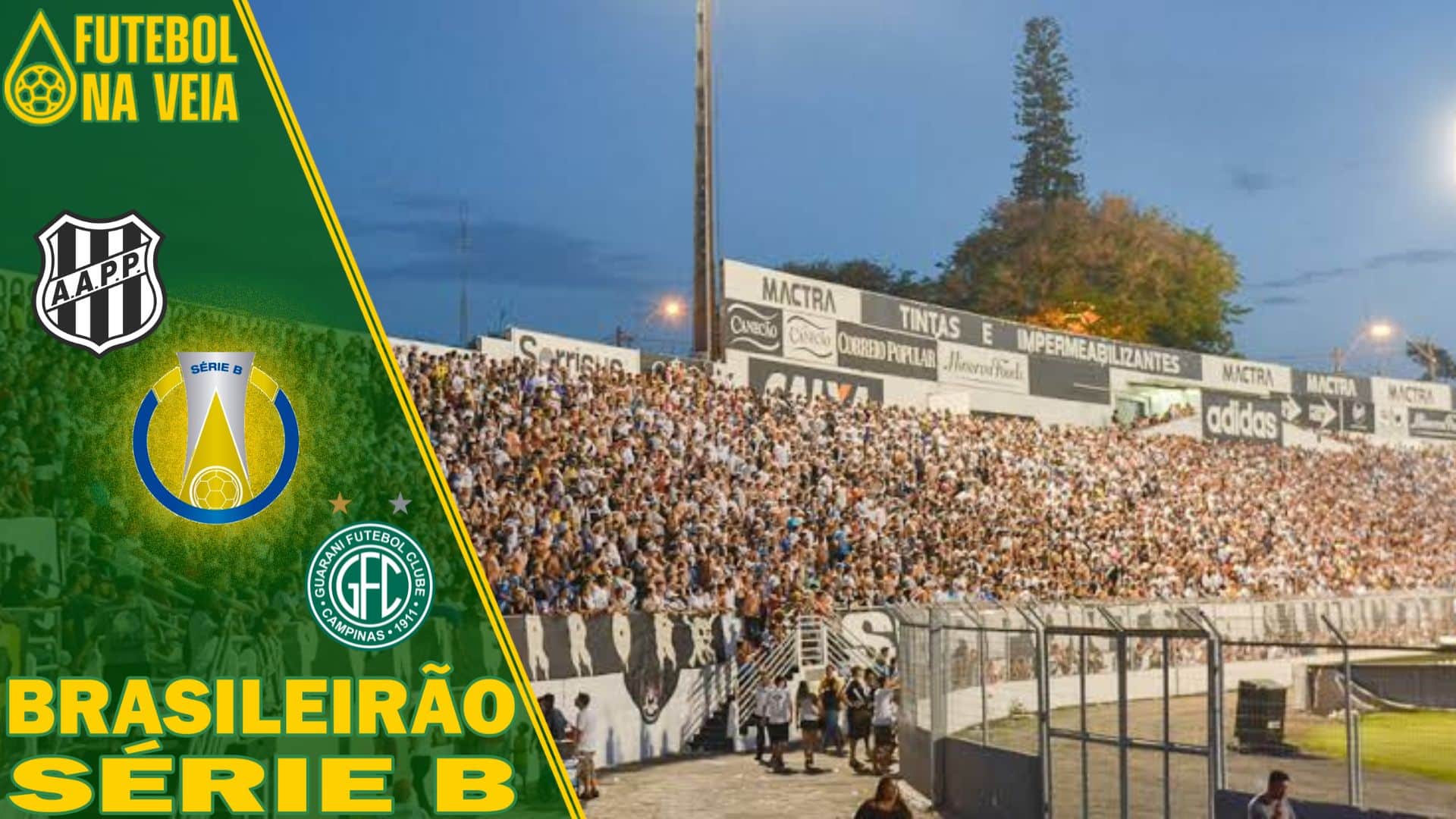 Palpites Ponte Preta x Guarani &ndash; 20/08 &ndash; Brasileir&atilde;o S&eacute;rie B 2022