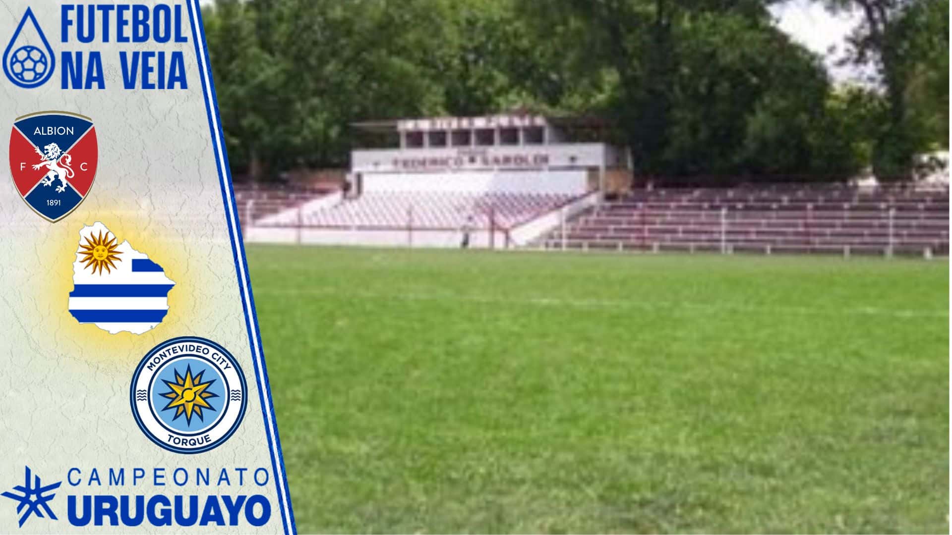 Palpites Albion x Torque &ndash; 03/09 &ndash; Uruguaio 2022