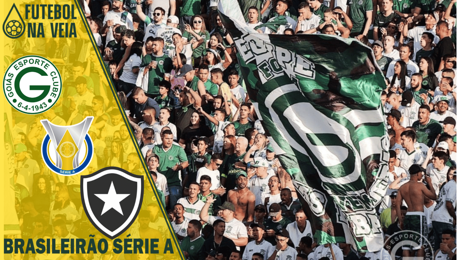 Palpites Goi&aacute;s x Botafogo &ndash; 28/09 &ndash; Brasileir&atilde;o S&eacute;rie A 2022