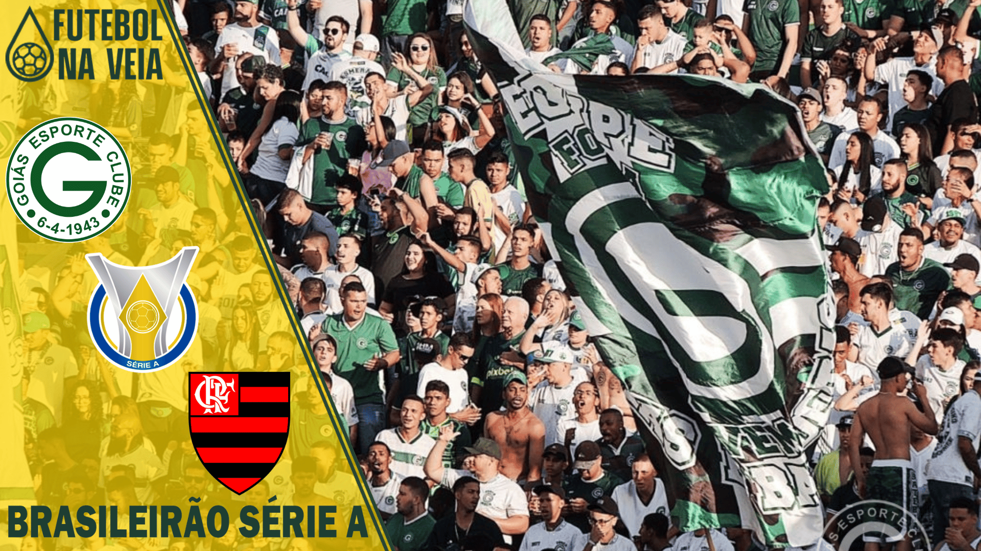 Palpites Goiás x Flamengo – 11/09 – Brasileirão Série A 2022