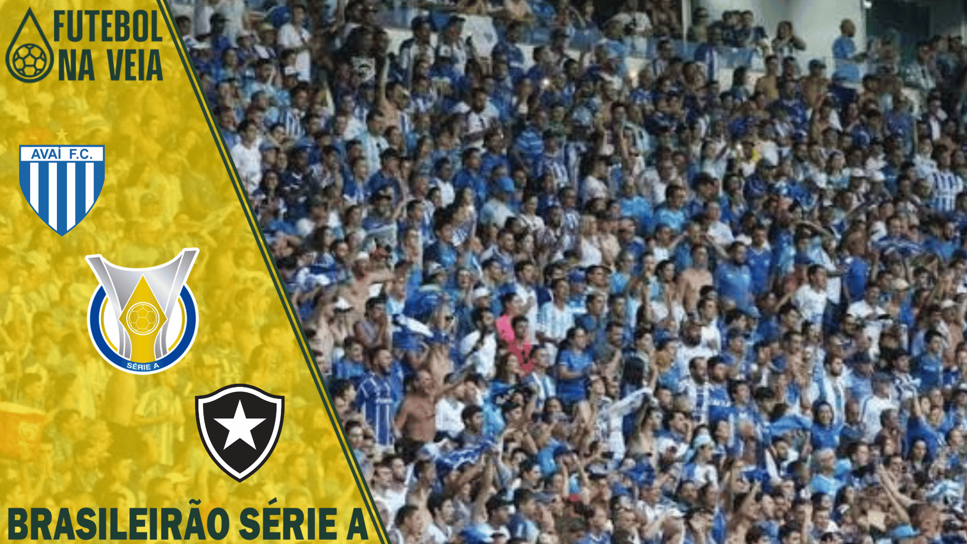 Palpites Avaí X Botafogo – Prognóstico da 30ª rodada do Brasileirão Série A