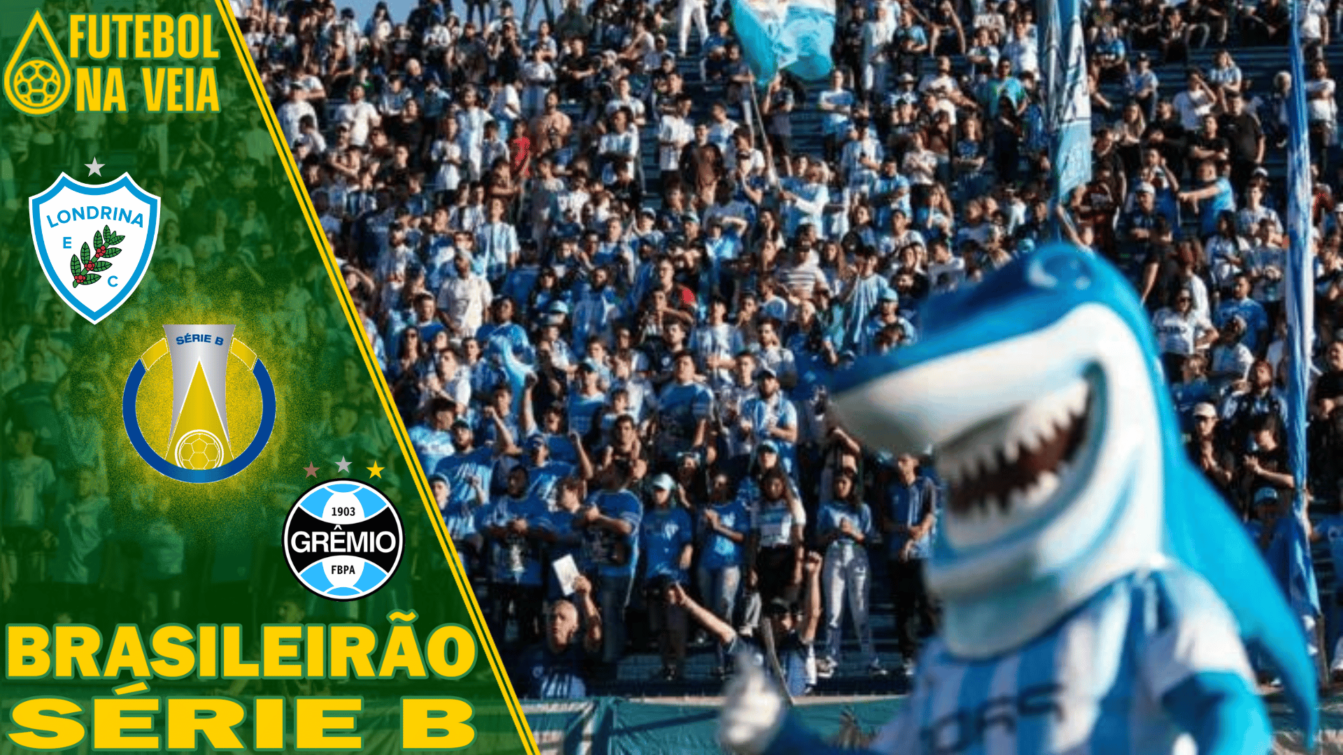 Palpites Londrina x Grêmio – 08/10 – Brasileirão Série B 2022