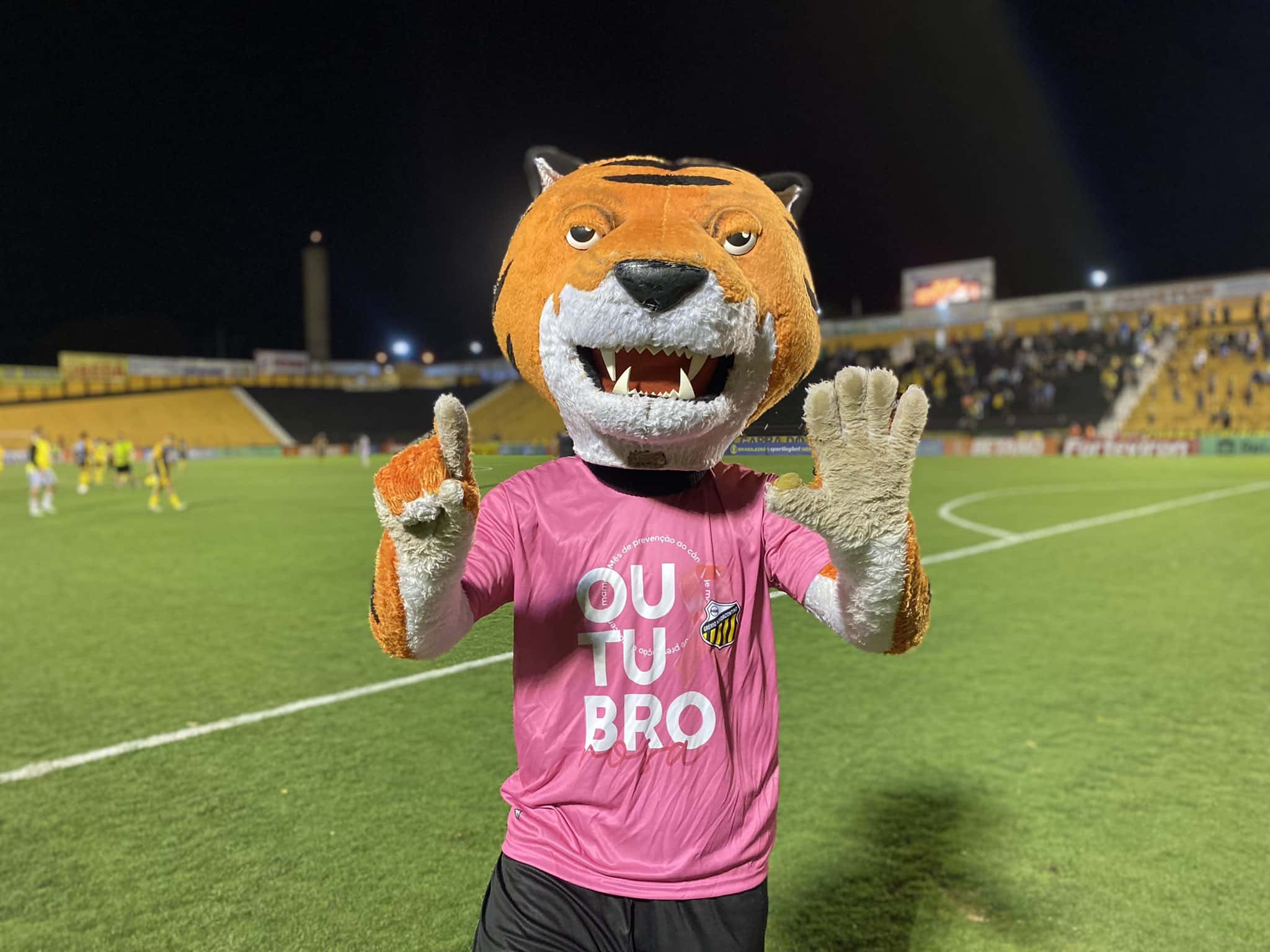 Novorizontino x N&aacute;utico como aconteceu &ndash; Resultado, destaques e rea&ccedil;&atilde;o