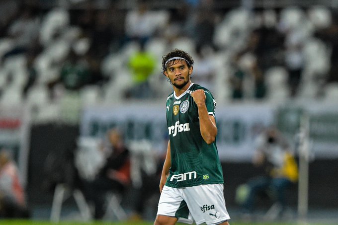 Botafogo x Palmeiras Como Aconteceu – Resultado, Destaque E Reação