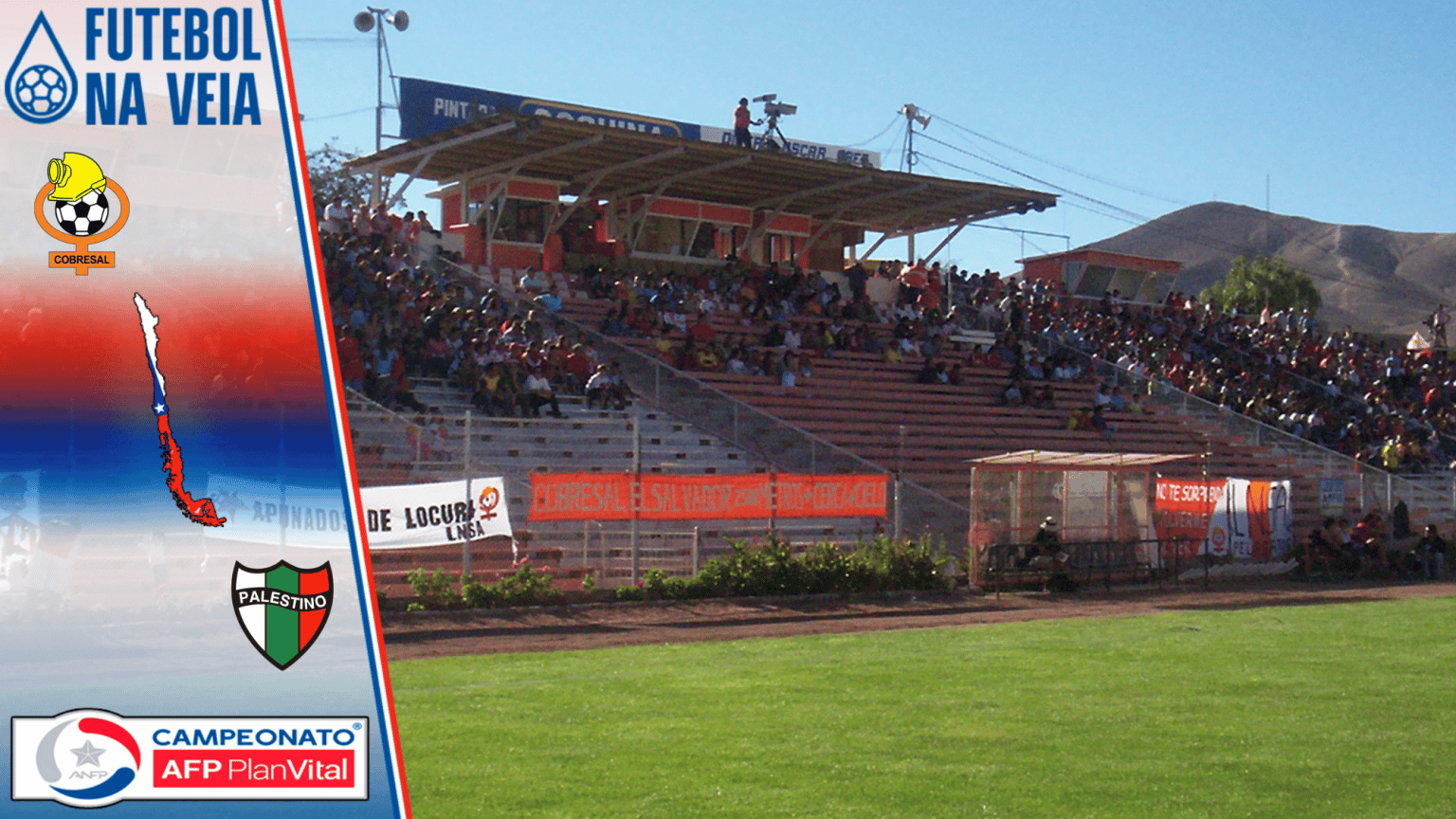 Palpites Cobresal x Palestino- 29/10 &ndash; Campeonato Chileno 2022