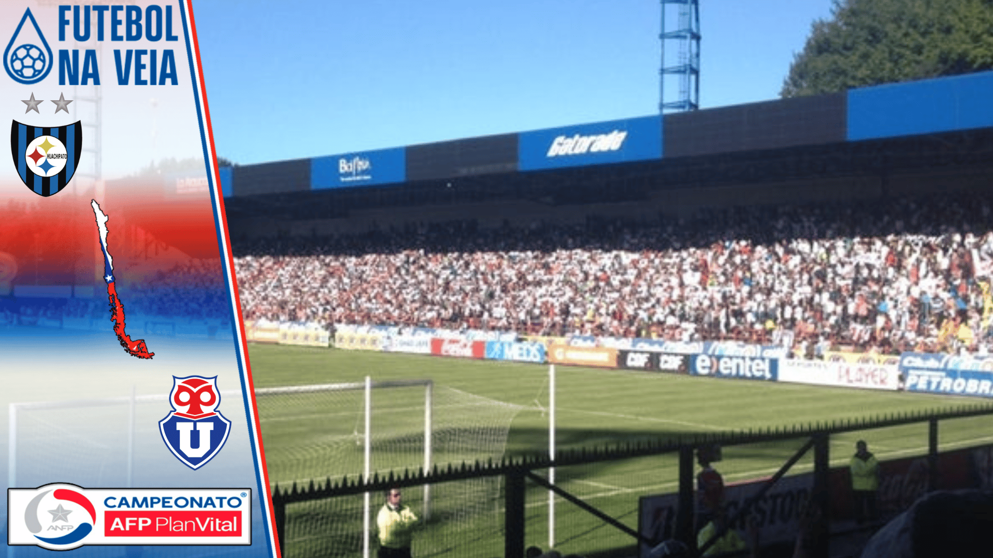 Palpites Huachipato x Universidade do Chile- 30/10 &ndash; Campeonato Chileno 2022