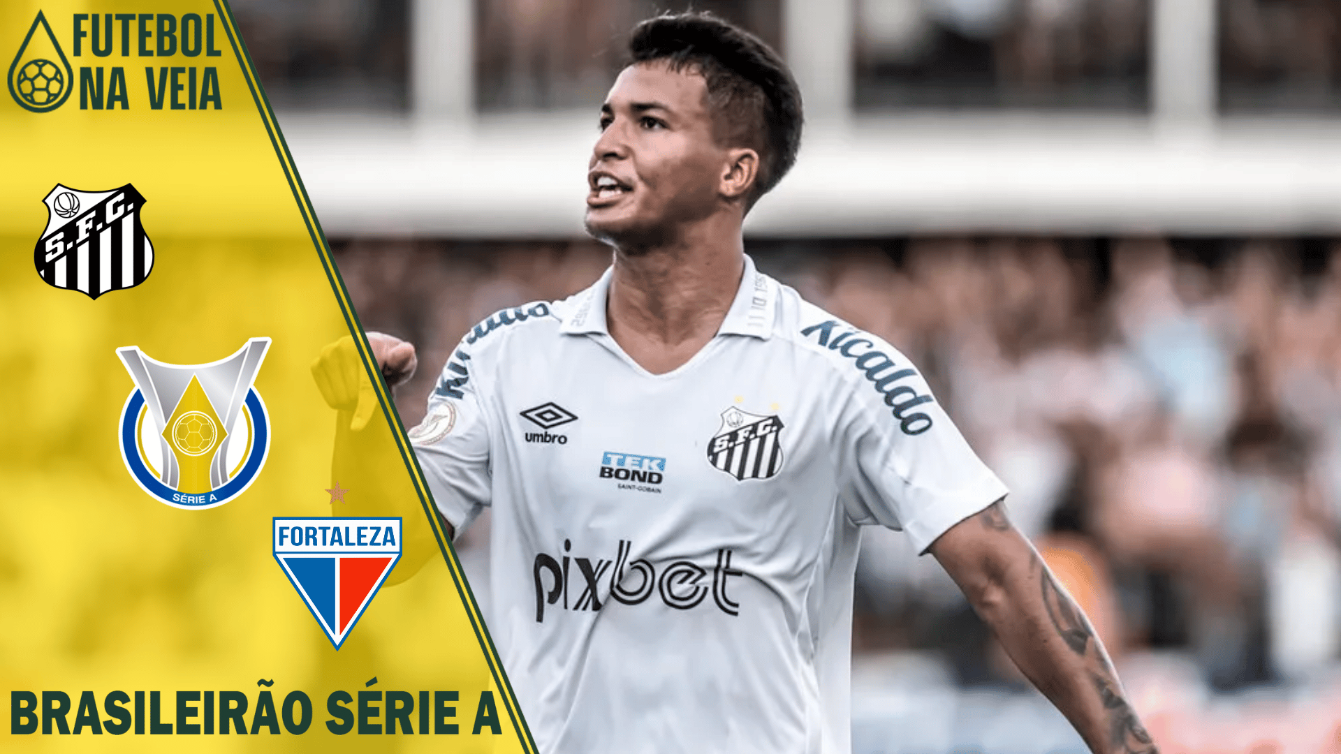 Palpites Santos x Fortaleza &ndash; 13/11 &ndash; Brasileir&atilde;o S&eacute;rie A 2022