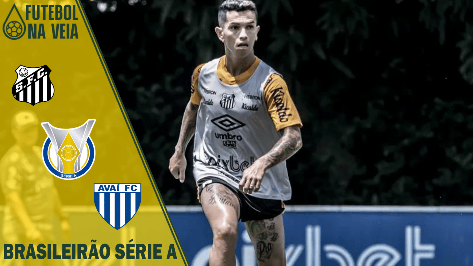 Palpites Santos x Avaí – 05/11 – Brasileirão Série A 2022