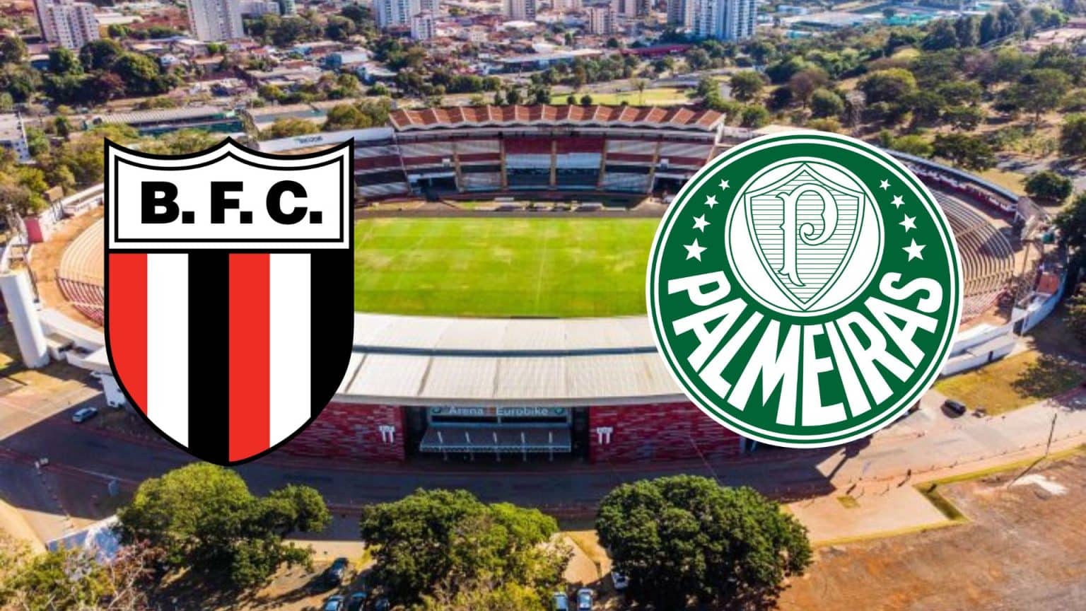 Botafogo SP x Palmeiras Ao Vivo E Online: Onde Assistir, Hor&aacute;rio E Escala&ccedil;&atilde;o No Paulist&atilde;o 2023