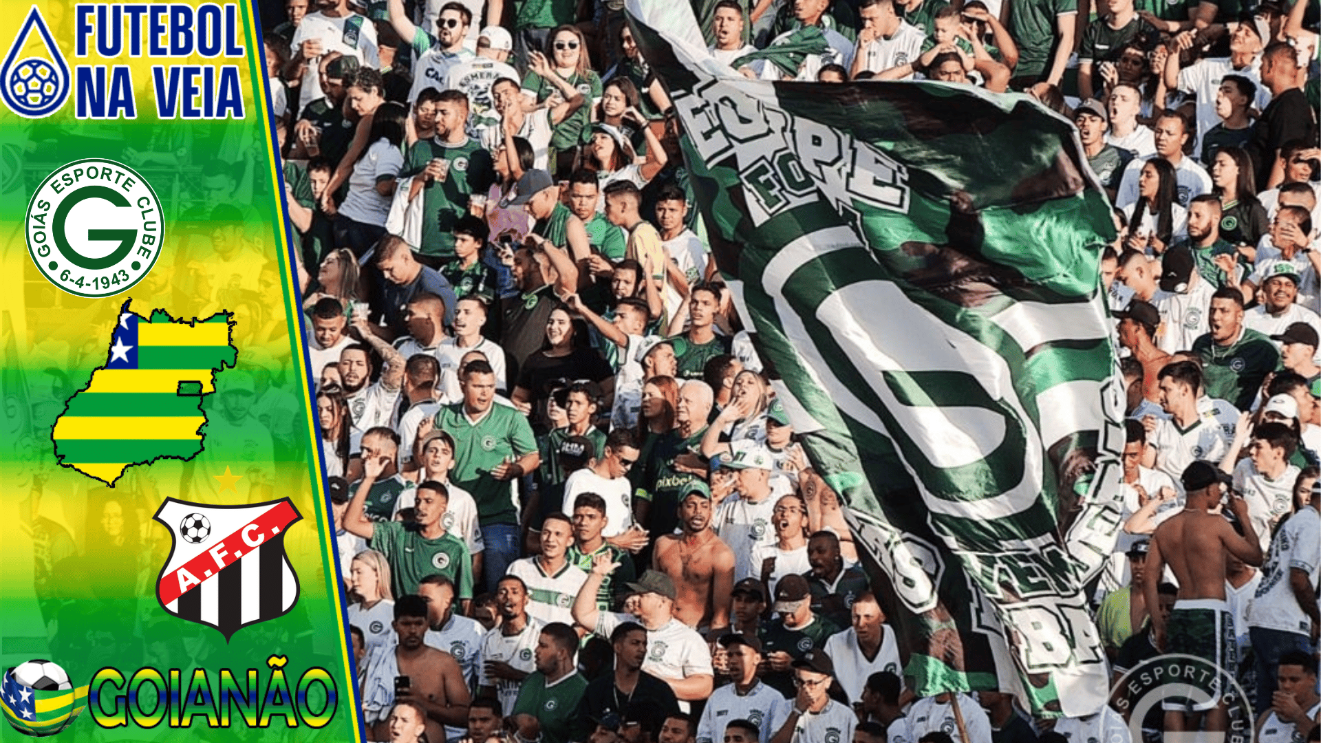 Goiás X Anápolis Ao Vivo E Online: Onde Assistir, Horário E Escalação No Campeonato Goiano 2023