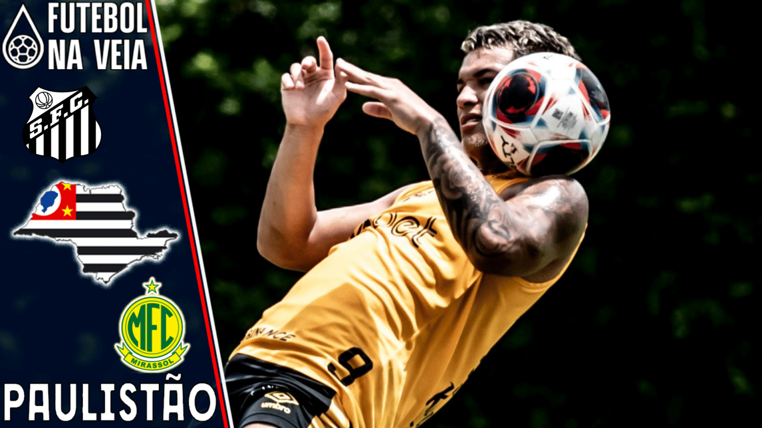 Palpite Santos X Mirassol – 14/01 – Campeonato Paulista 2023