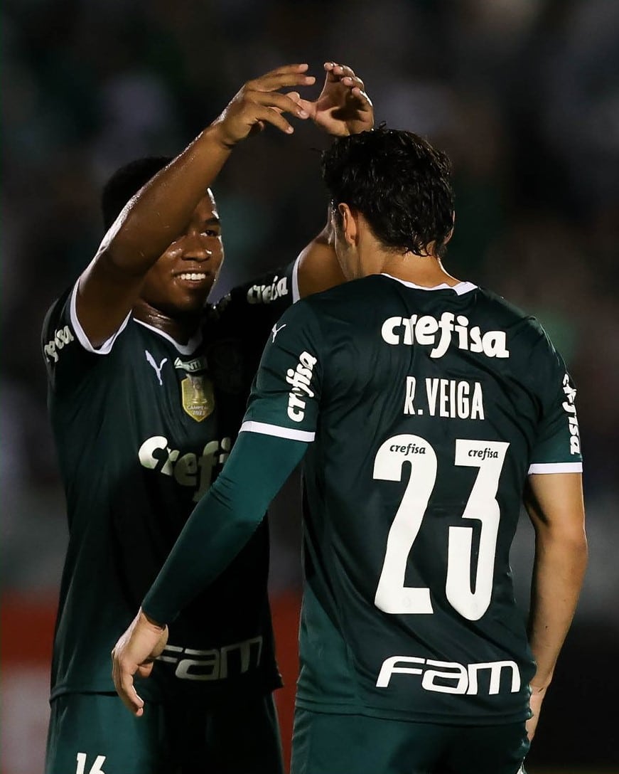 Botafogo SP x Palmeiras &ndash; Resultado, Destaque E Rea&ccedil;&atilde;o