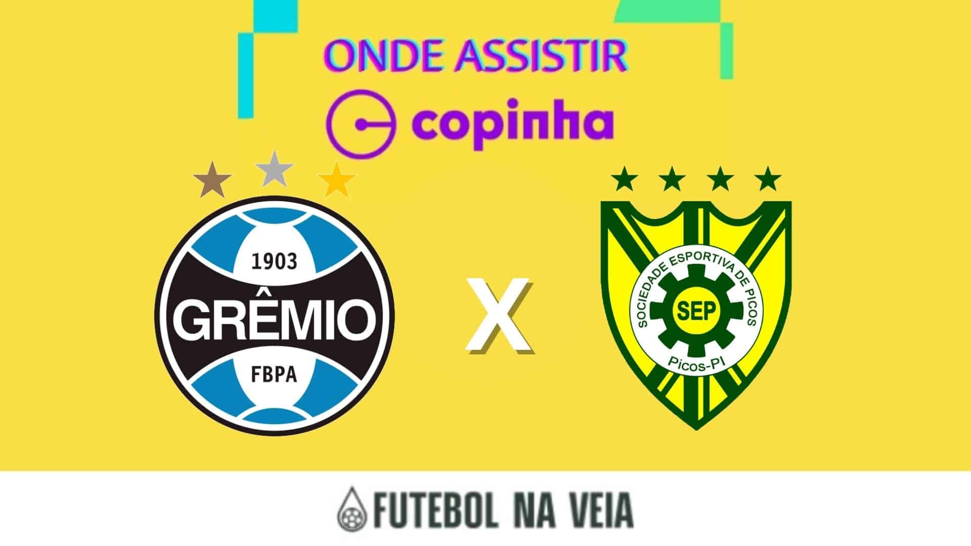 Gr&ecirc;mio x Picos ao vivo e online: onde assistir, hor&aacute;rio e escala&ccedil;&atilde;o na Copinha 2023