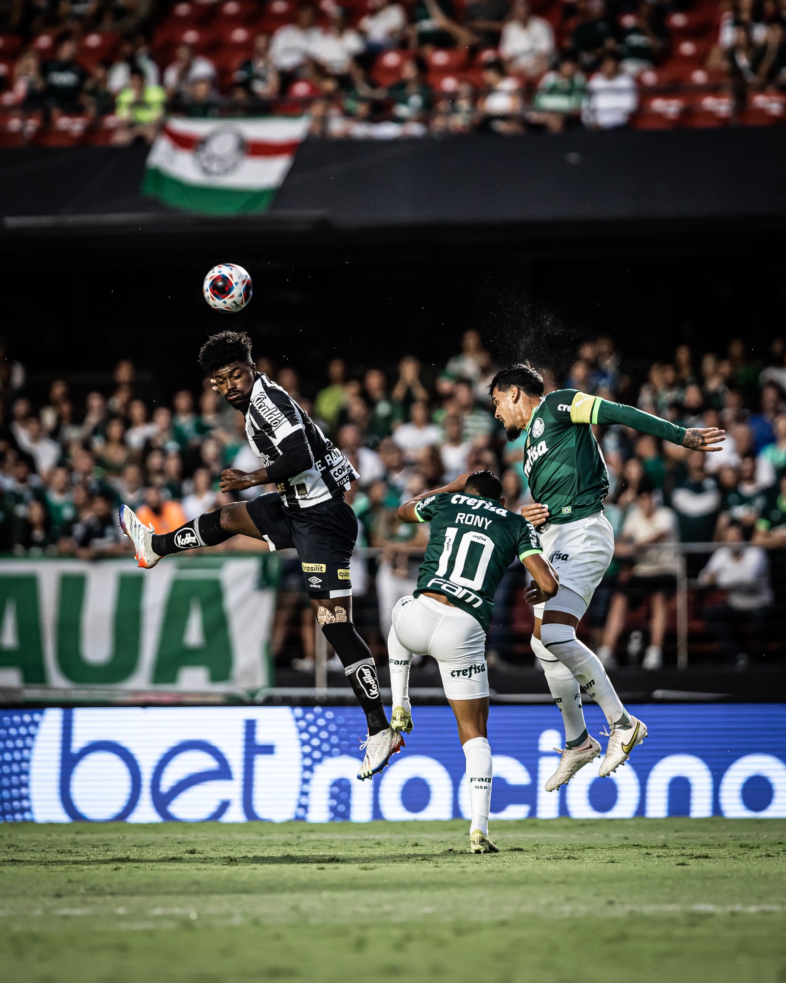 Palmeiras X Santos &ndash; Resultado, Destaque E Rea&ccedil;&atilde;o