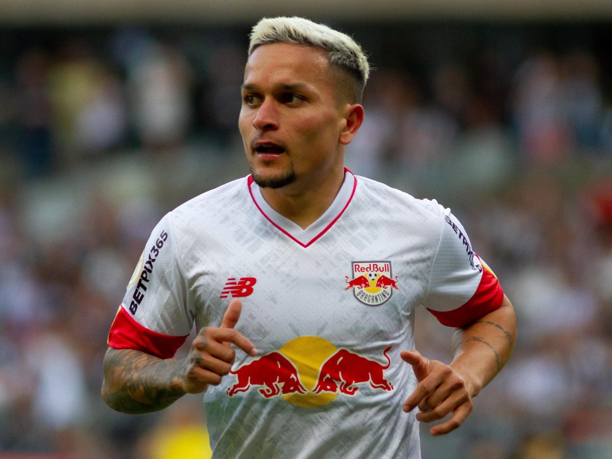 Imagem : reprodu&ccedil;&atilde;o